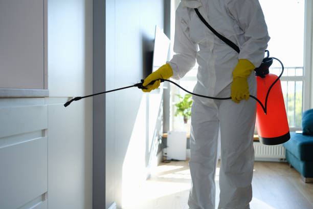 Best Emergency Mold Remediation in Zanesville, OH