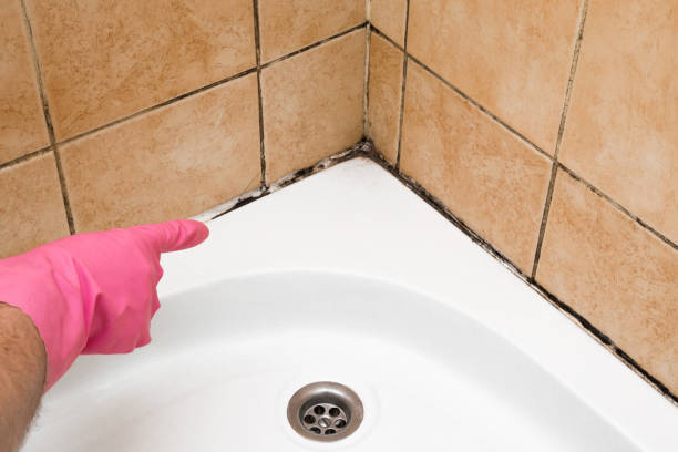 Best Bathroom Mold Remediation in Zanesville, OH